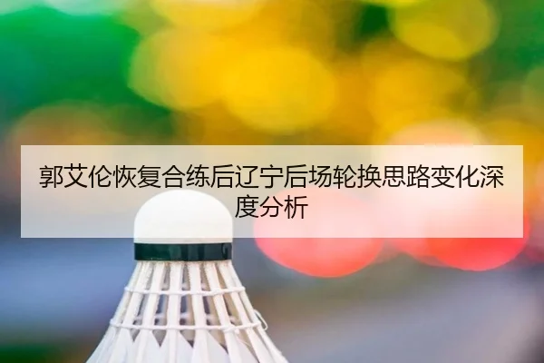 郭艾伦恢复合练后辽宁后场轮换思路变化深度分析 | xingkong